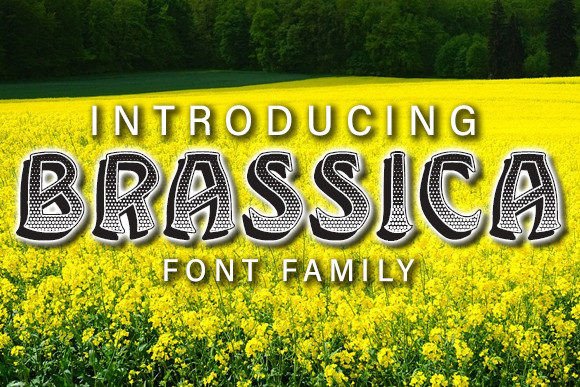 Brassica: A Bold Display Font for Eye-Catching Designs