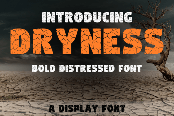 Dryness: The Unique Display Font for Creative Projects